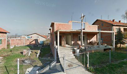 Ugradnja leksana Milos Micunovic