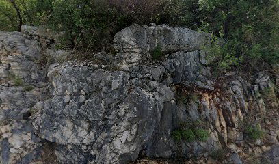 Plina Jezero - Rural House Janjic