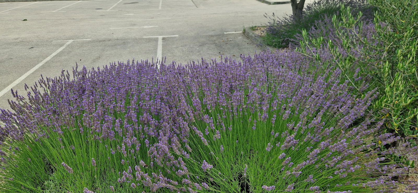 Porsche Destination Charging
