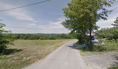 Čedomira Jakovljevića