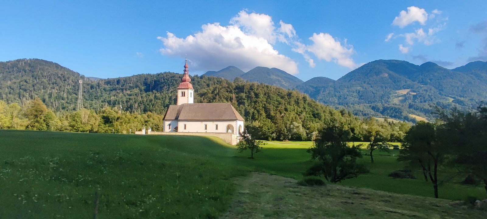 Društvo novinarjev Slovenije