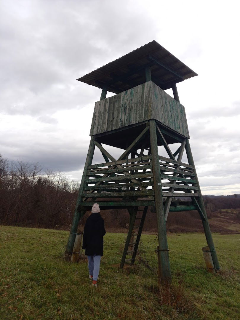 Lovačka čeka - vidikovac