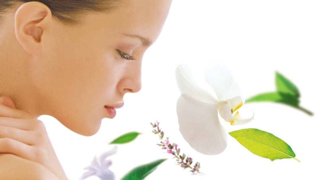 TINA STAR STUDIO LEPOTE