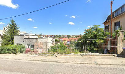 Praonica tepiha - TEPIH