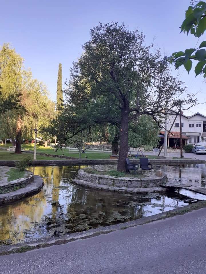 Područna škola Dole