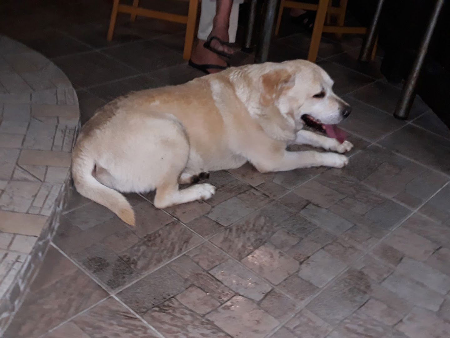 Caffe bar "Kod Mate"