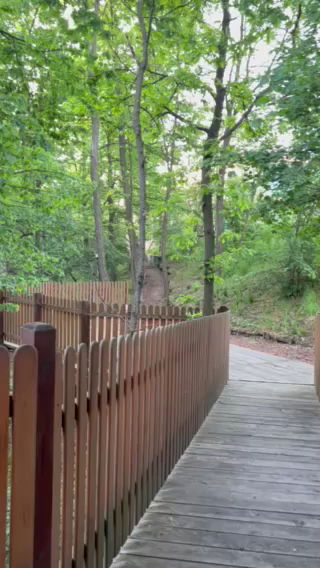 Ekonomska škola Sopot