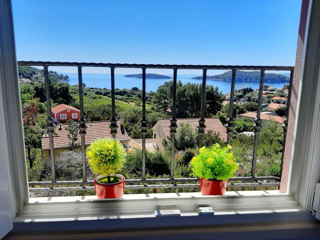 Apartmani Anita Prižba