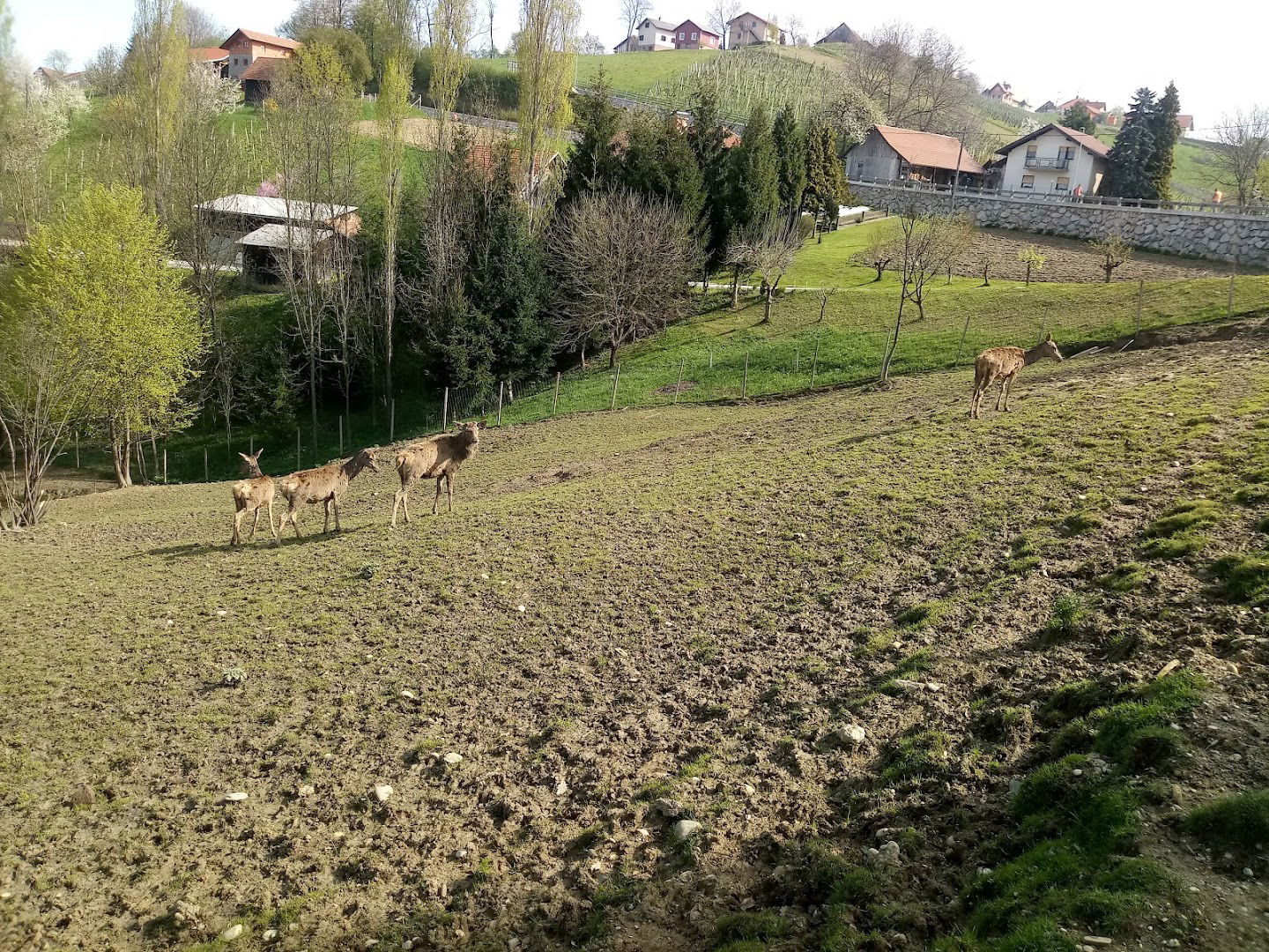 Gabrijel Jauk - nosilec dopolnilne dejavnosti na kmetiji