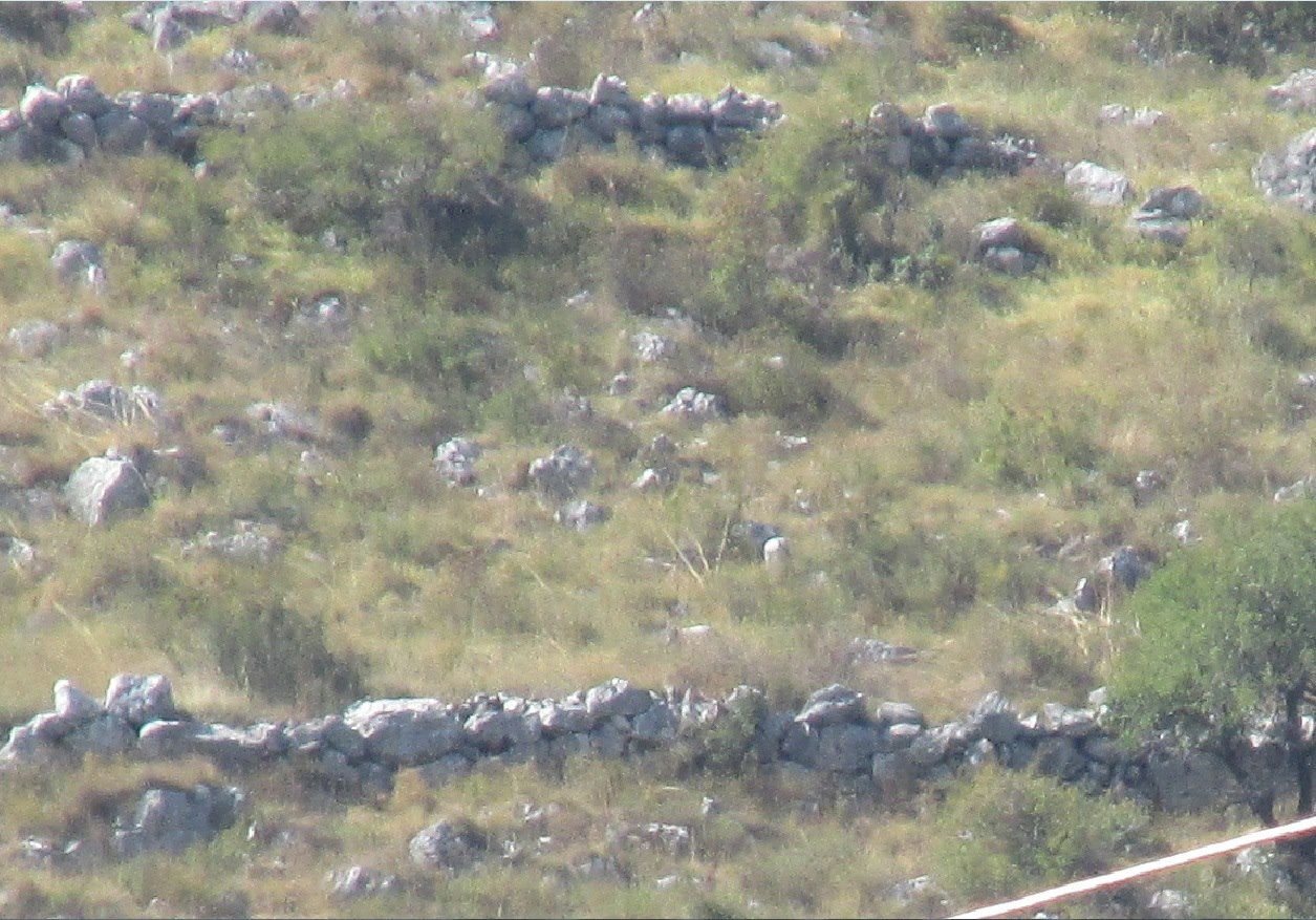 Poligonalni megalitski (Ilirski) zidovi Daorsa