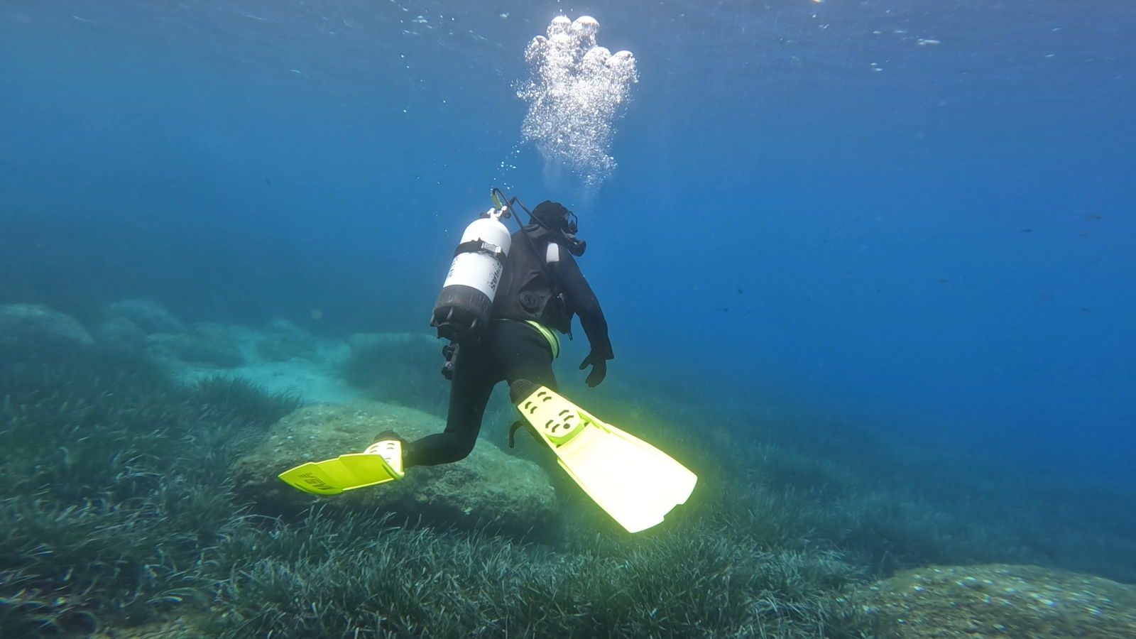 Barbara Diving Center