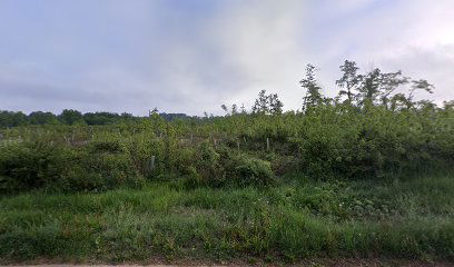 Holiday House With Pool, gym and Sauna for 8 People, 25 km From Rovinj