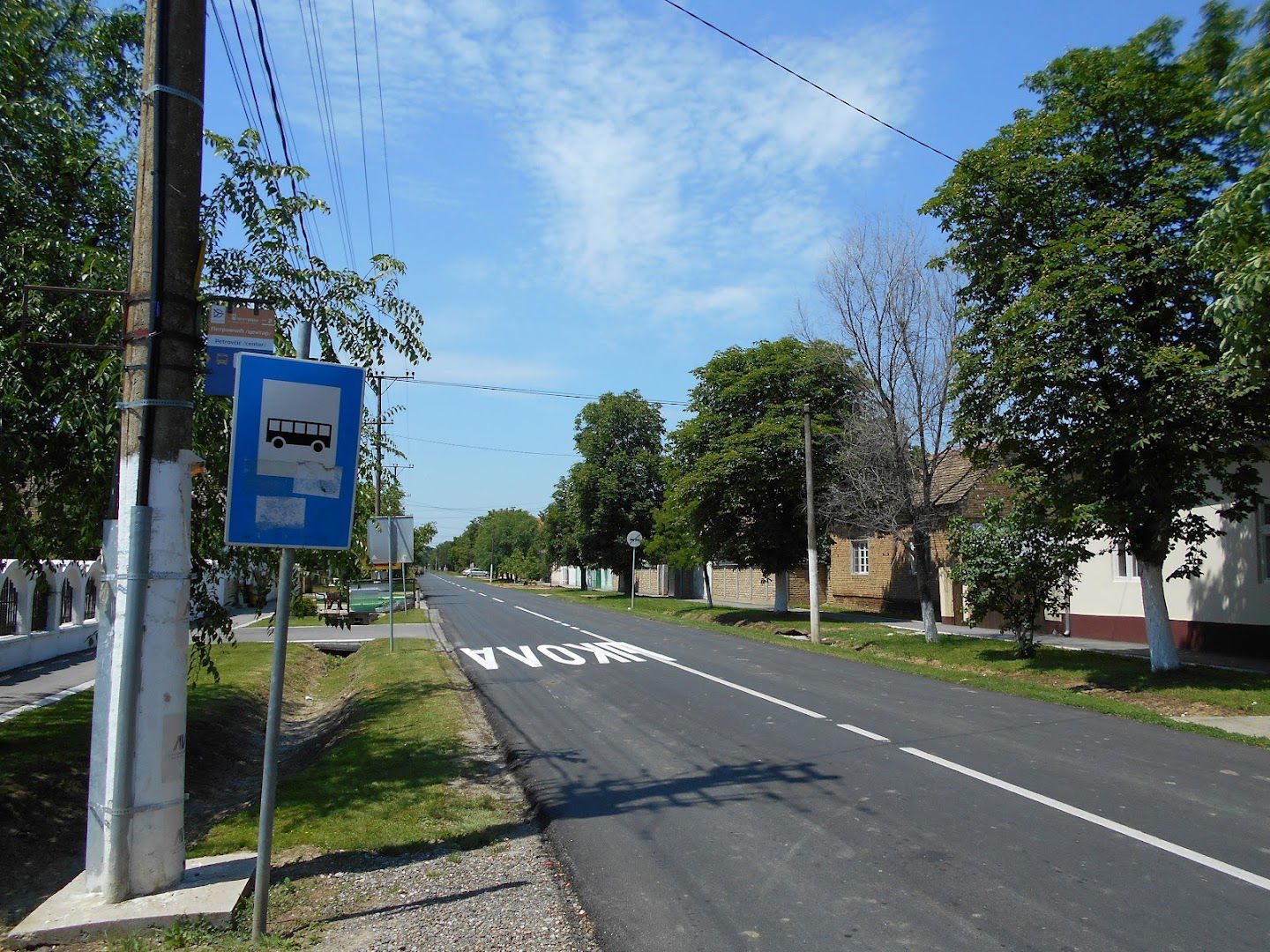 Petrovčić /centar/