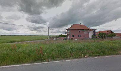 Vulkanizer Pl.Horizonti