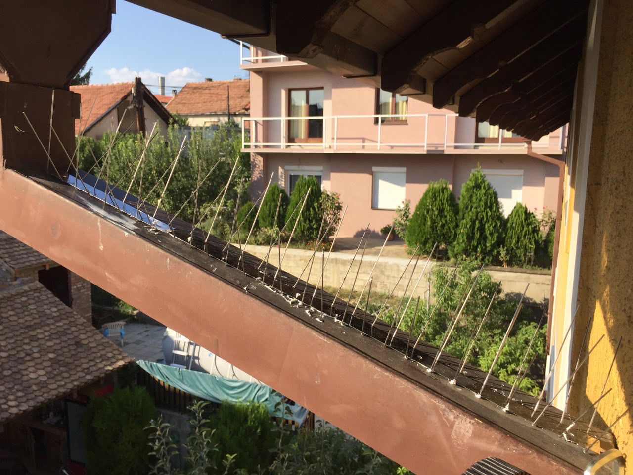 Zaštita od Golubova