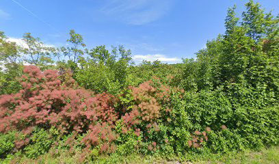 Morchaki Extra Virgin Olive Oil . Labin . Istria . Morchaki Country Resort & Spa