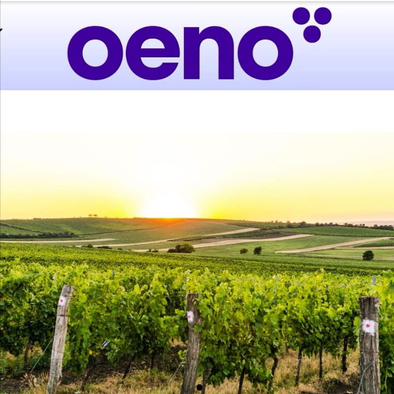 Precision viticulture Oeno Grape