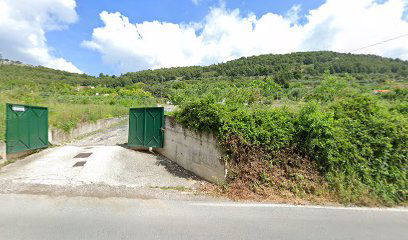 Autobusno stajalište Vila Dalmacija