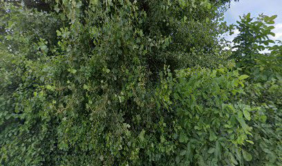 Imp Termotehnika Regulacija D.O.O.