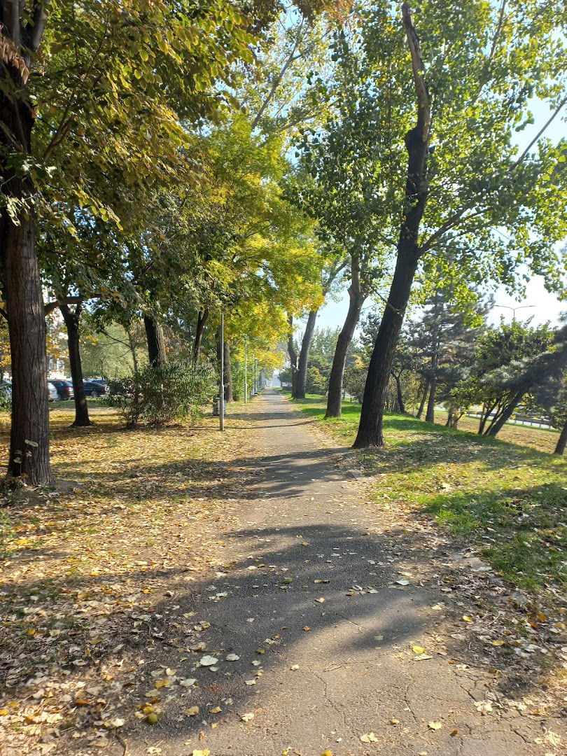 Staza za šetnju blok 29