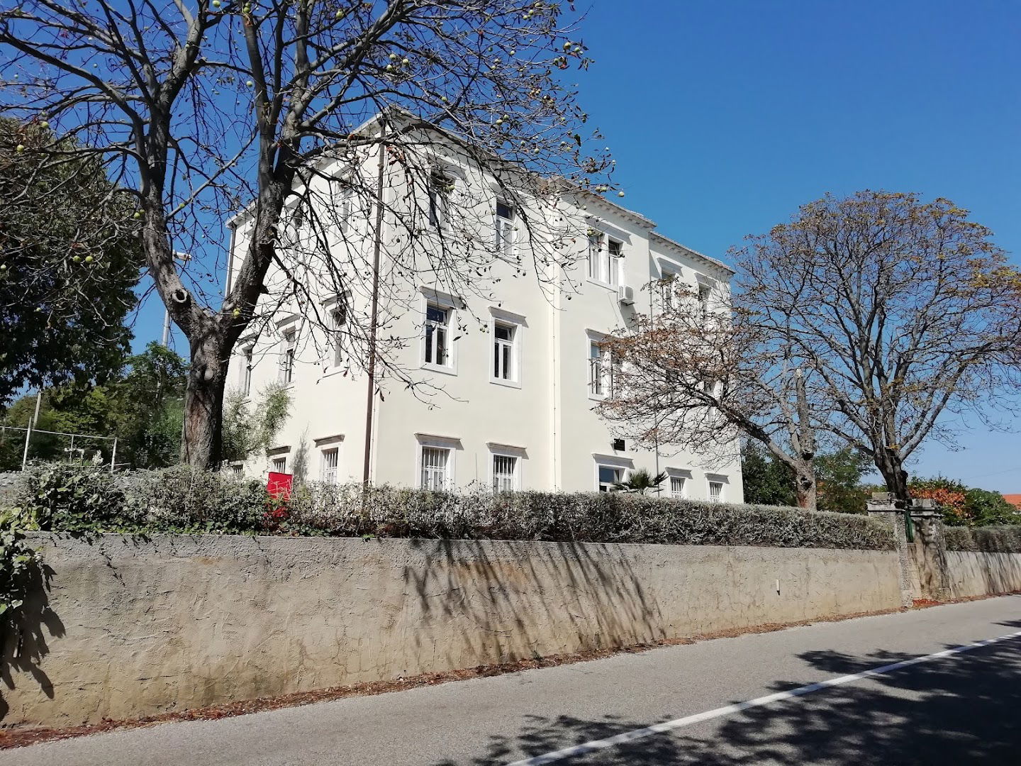 Osnovna škola "Janjina"