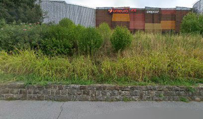 Croce Rossa Italiana Comitato Provinciale di Trieste APS ONLUS - Sede di Muggia