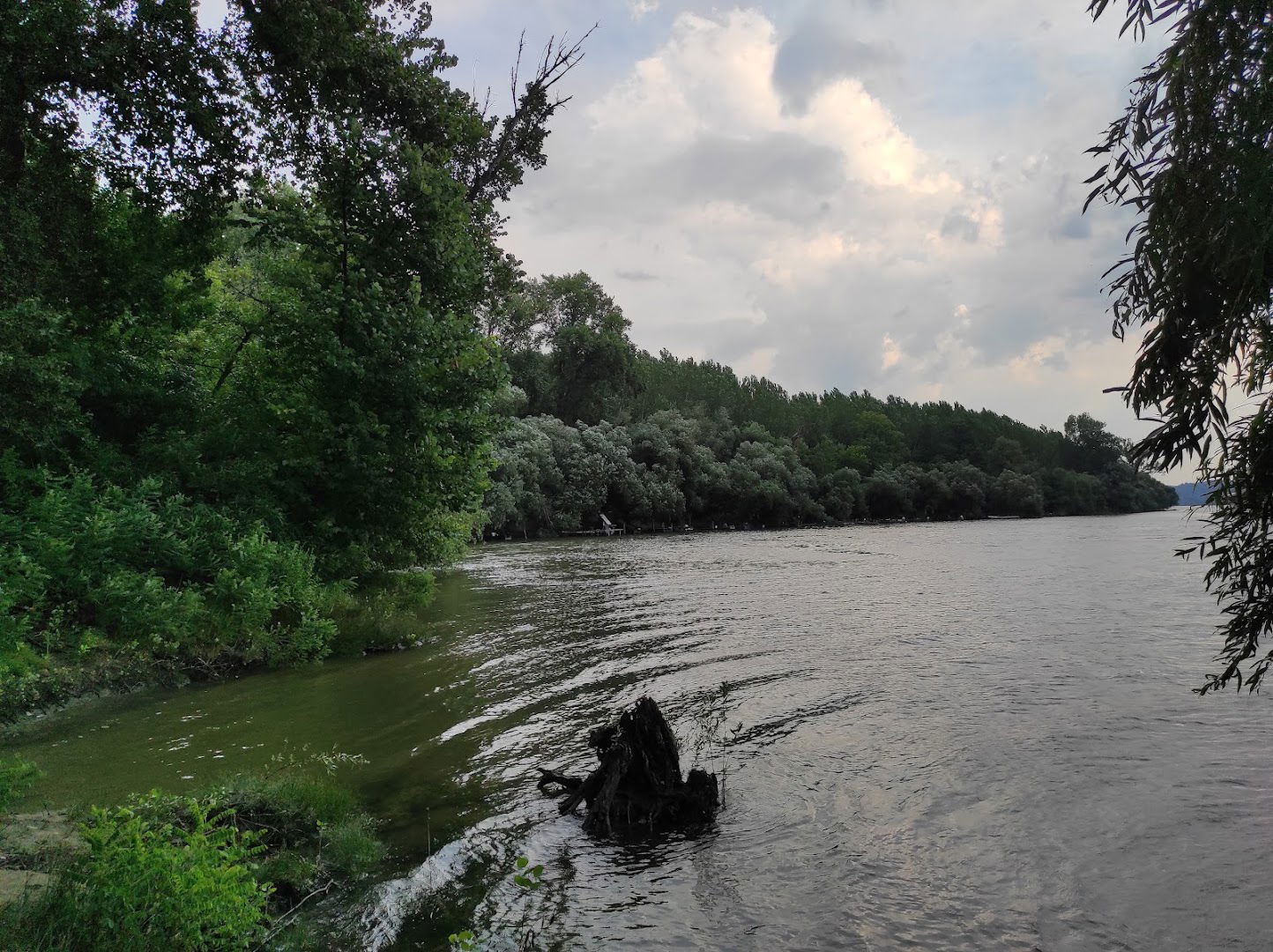 Natural Monument Ivanovacka Ada
