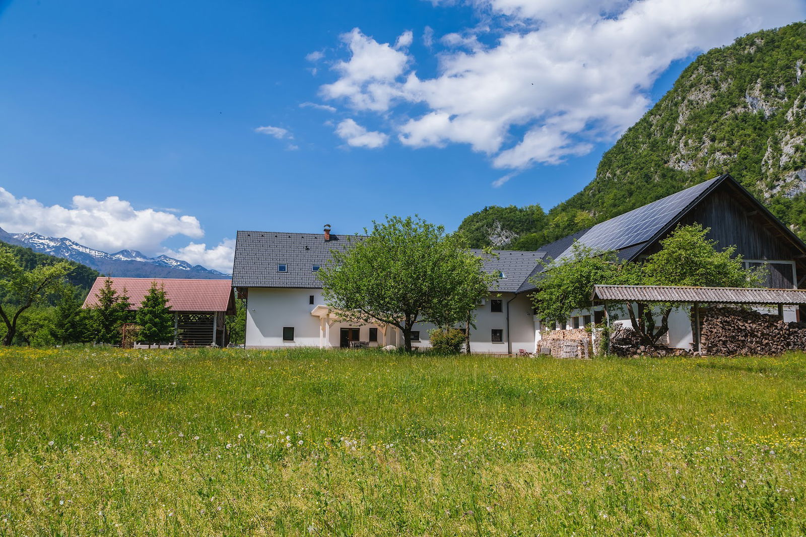 Domačija | Homestead Log v Bohinju