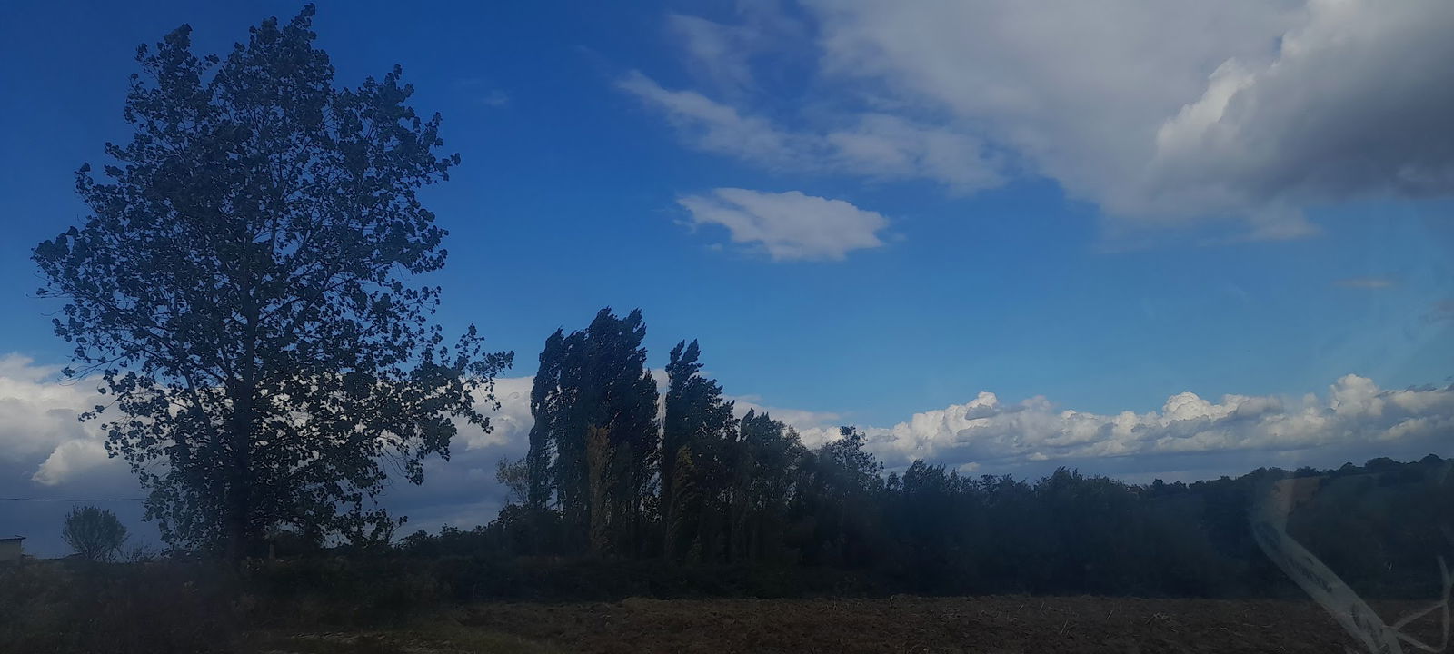 Žabari 14203 Dračić ul. Pesnika Sretena Kušakovića 29