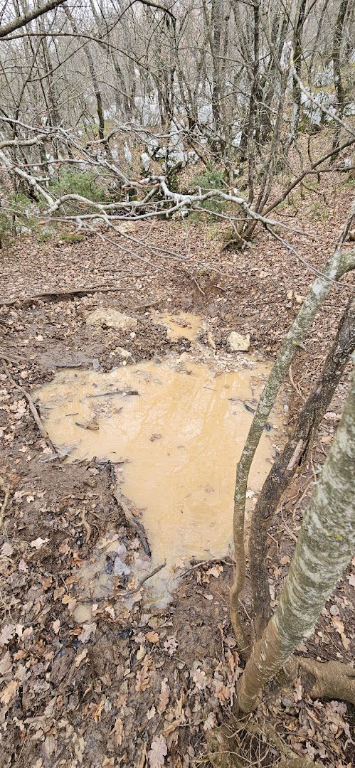 Jama ŽELJKOVAČA Kozjak