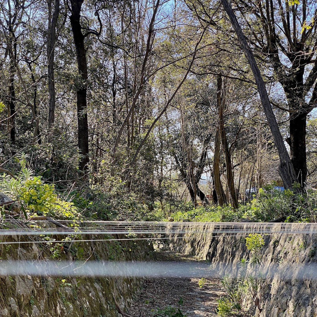 Fruga Art Trail - Laces - Beate Baberske