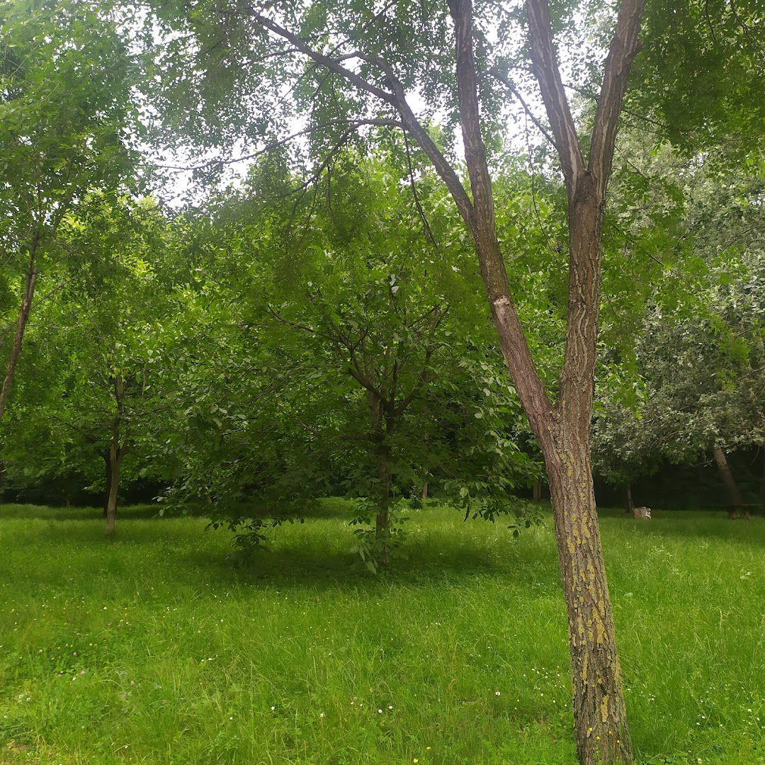 Park Trogirska Padina