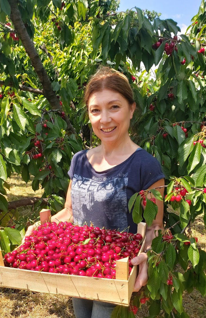 The Cherry Orchard (Rankovic Farms)