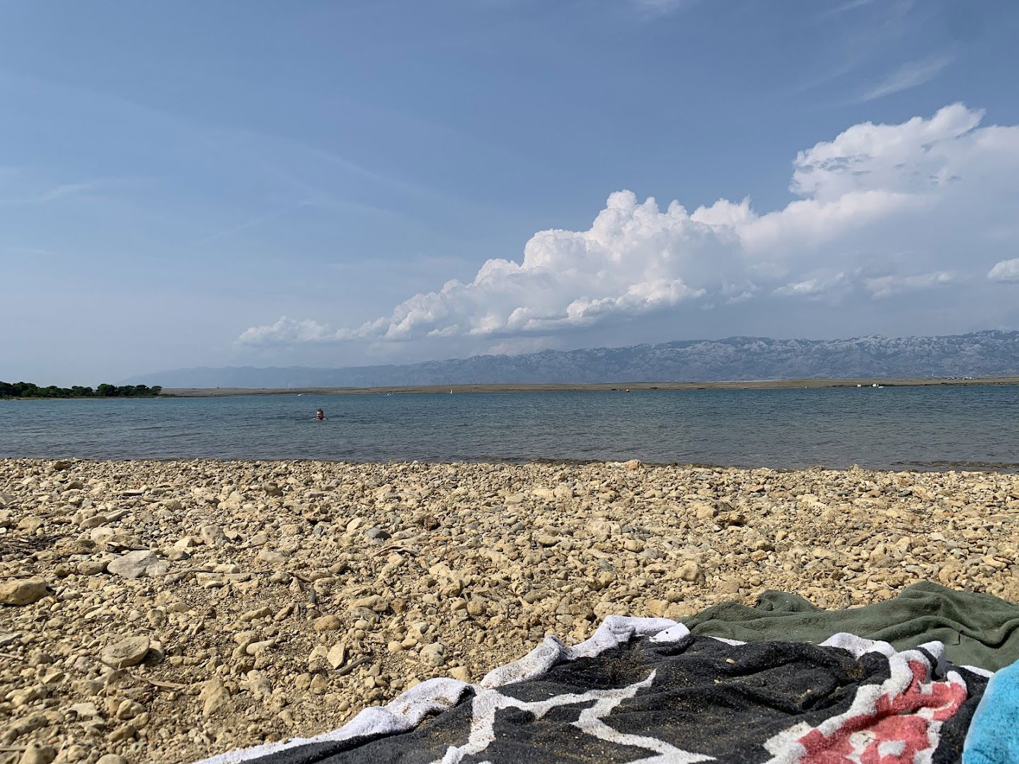 Dog Beach / Hundestrand