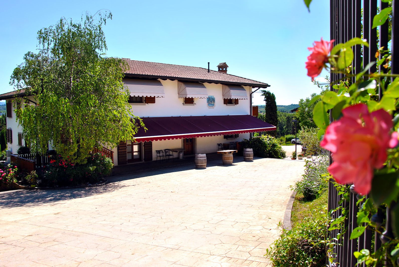 Societa' Agricola Nadalutti Franco & C. Ss Agriturismo Selva