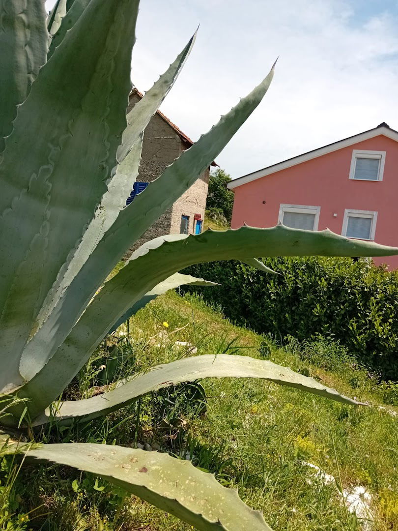 Stone House for Tourist