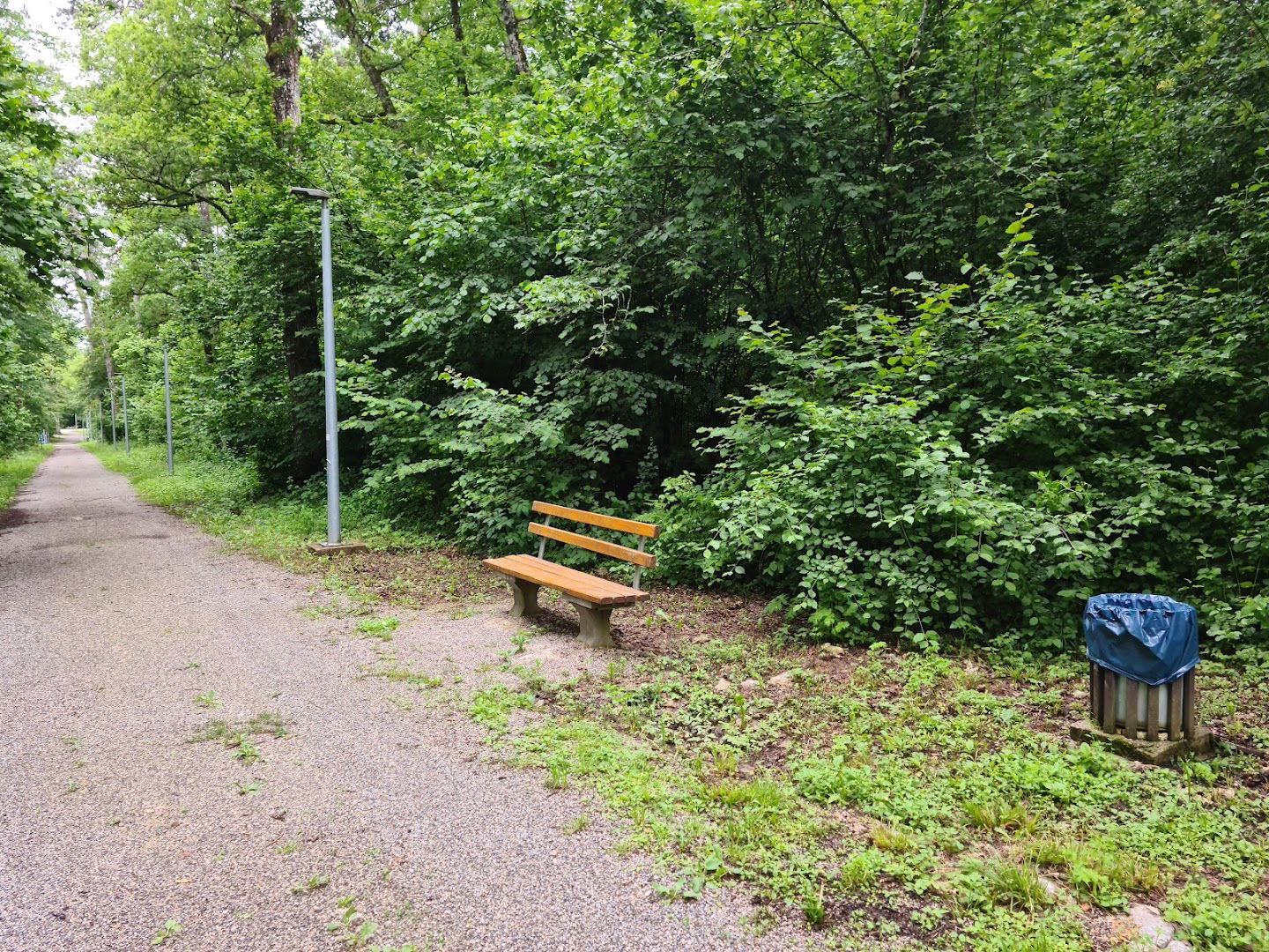 Jasikovac, Park Suma