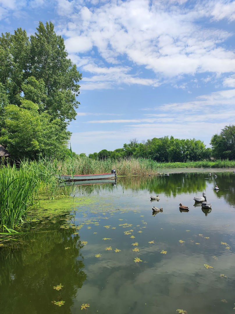 "Carska Bara" starting point