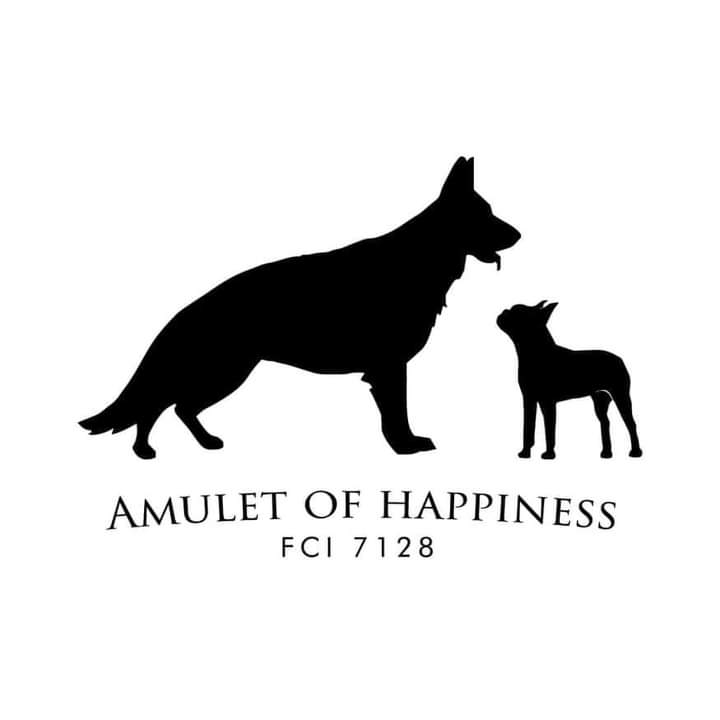 Amulet of happiness