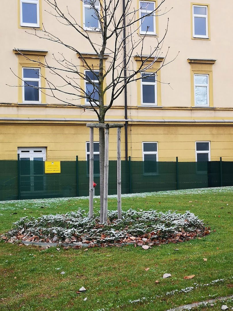 Območno združenje slovenskih častnikov Celje