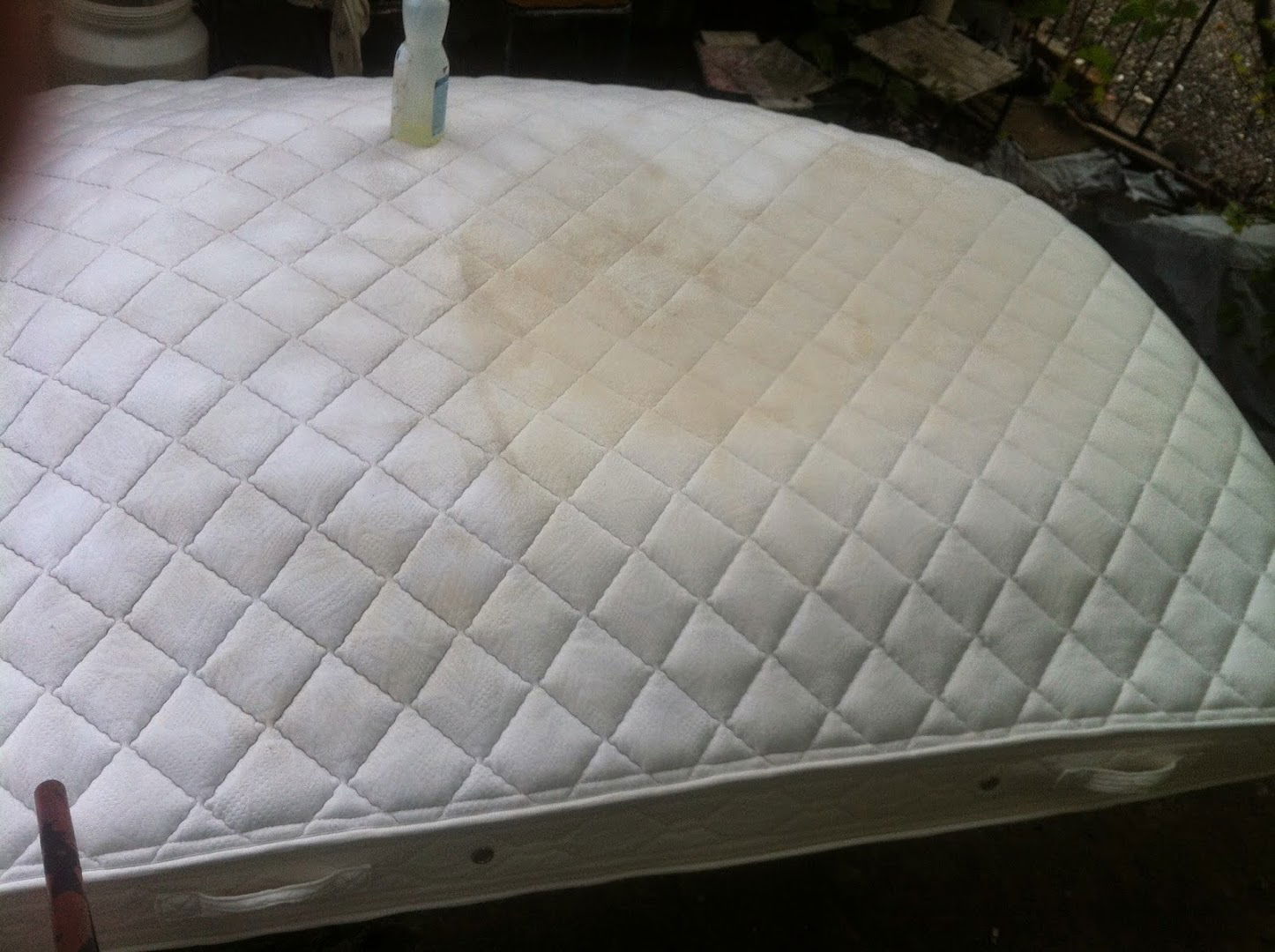 Cleaning Service BOEM MPS Ltd.