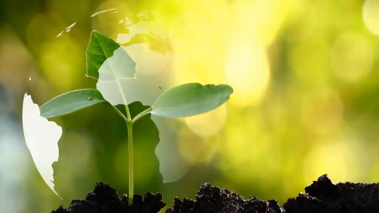 Oikon d.o.o. - Institut za primijenjenu ekologiju