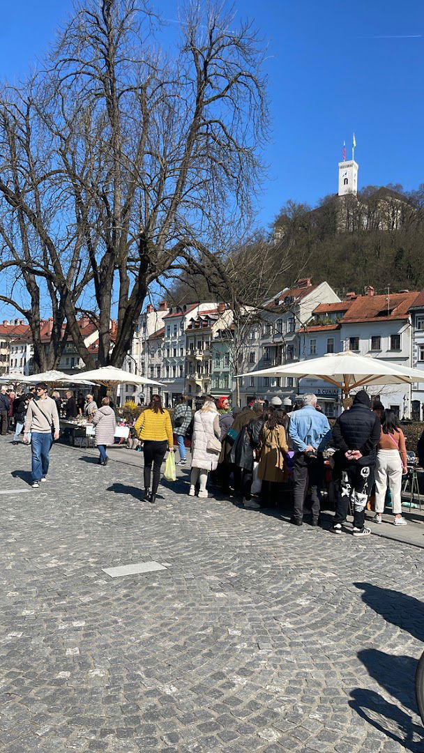 Bolšji sejem • Flea Market Ljubljana