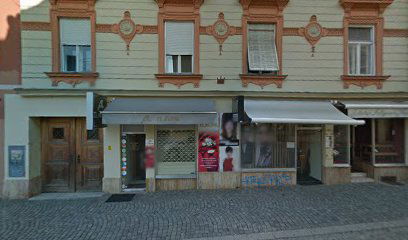 Frizerski salon Bojan Brigadir s.p.