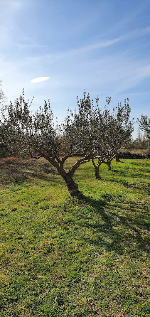 OPG Nikša Kulušić - Miljevci