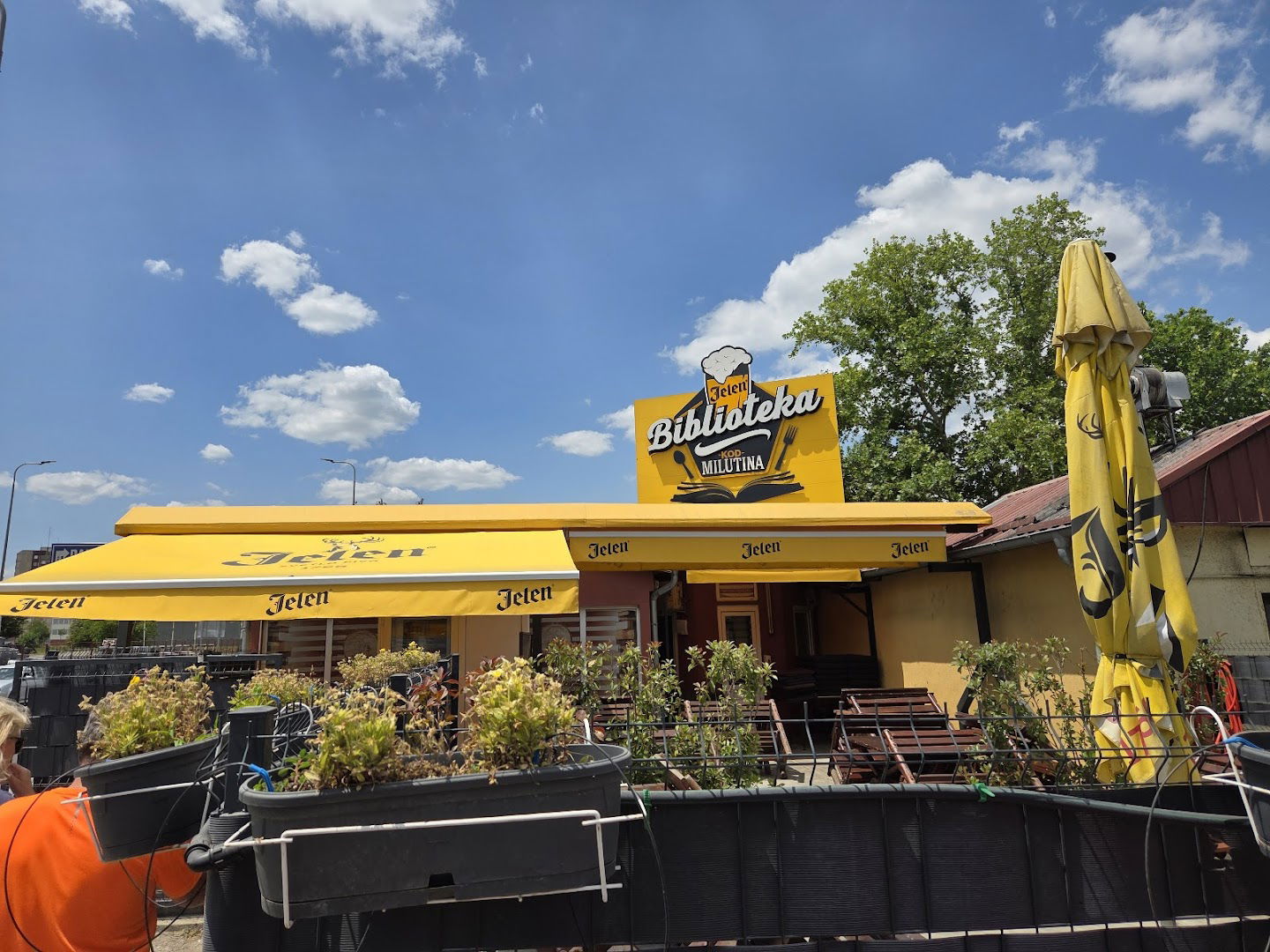 Biblioteka kod Milutina