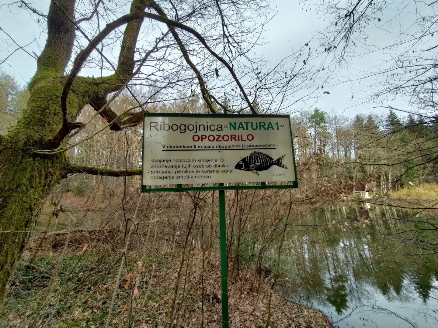 Ribogojnica NATURA 1