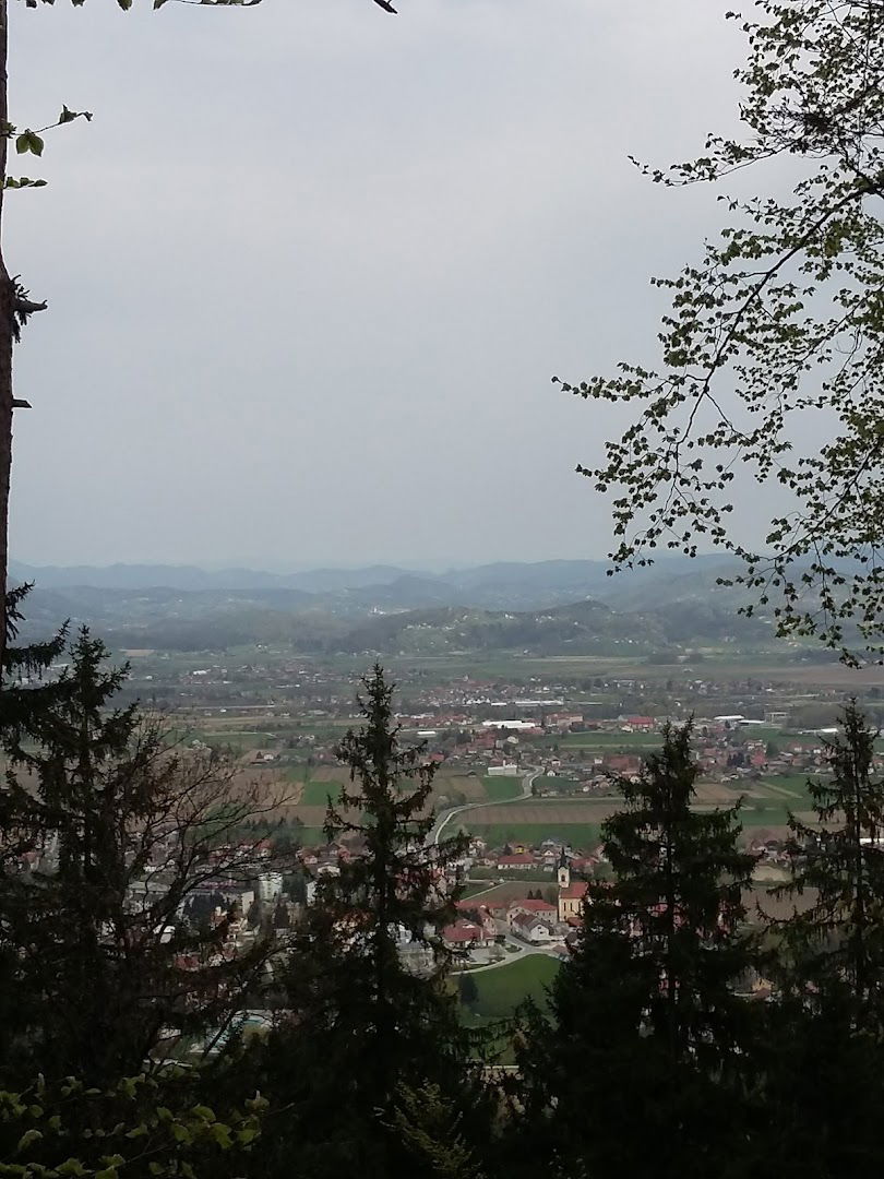 Žaganje in skobljanje lesa, Holobar Franc s.p.