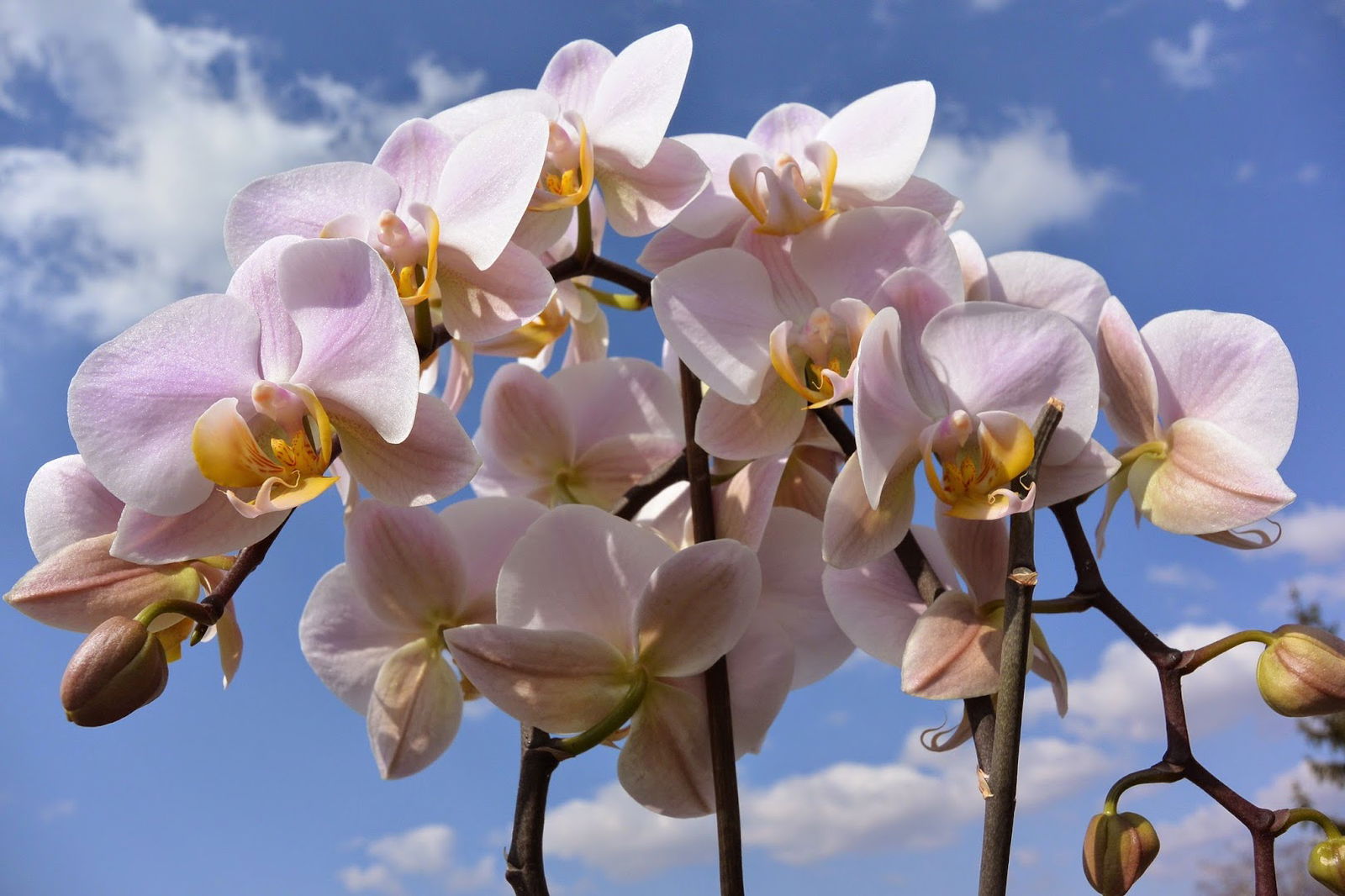 Dermatologija Dubrava d.o.o.