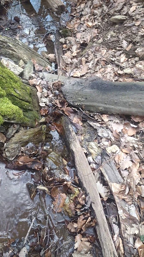 Ksenine Kaskade Rosovo